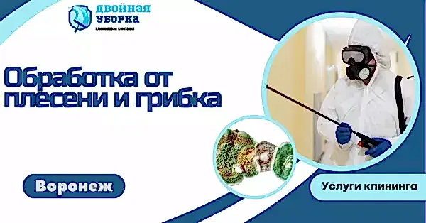 уничтожение плесени и и грибка астана
