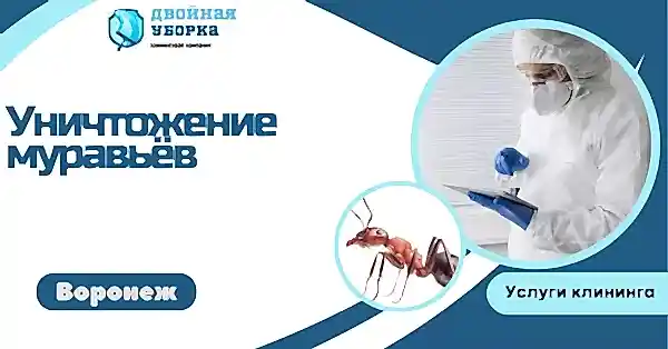уничтожение муравьёв в астане