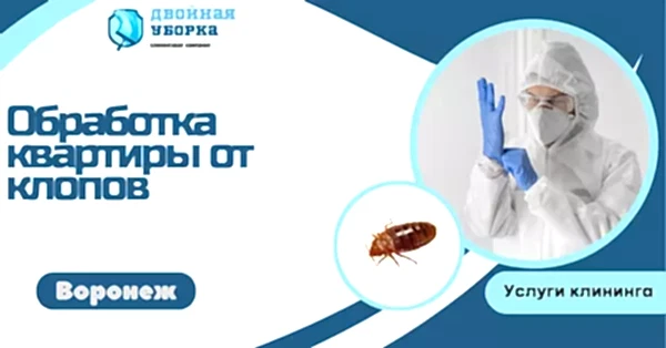 обработка квартиры от клопов в астане