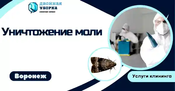 уничтожение моли в астане