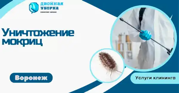 уничтожение мокриц в астане