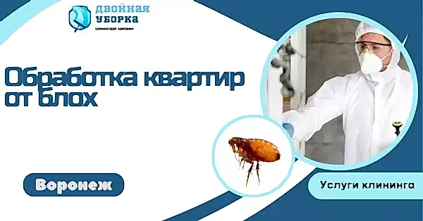обработка квартир от блох в астане